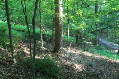 Here is your opportunity to purchase a nice, wooded lot in the on Hide-A-Way Hills Golf Club in Ohio - for sale on GolfHomes.com, golf home, golf lot