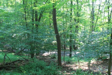 Here is your opportunity to purchase a nice, wooded lot in the on Hide-A-Way Hills Golf Club in Ohio - for sale on GolfHomes.com, golf home, golf lot