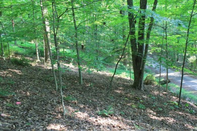 Here is your opportunity to purchase a nice, wooded lot in the on Hide-A-Way Hills Golf Club in Ohio - for sale on GolfHomes.com, golf home, golf lot