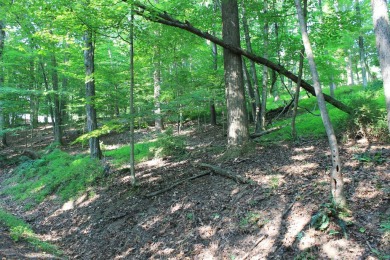 Here is your opportunity to purchase a nice, wooded lot in the on Hide-A-Way Hills Golf Club in Ohio - for sale on GolfHomes.com, golf home, golf lot