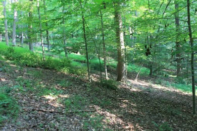 Here is your opportunity to purchase a nice, wooded lot in the on Hide-A-Way Hills Golf Club in Ohio - for sale on GolfHomes.com, golf home, golf lot