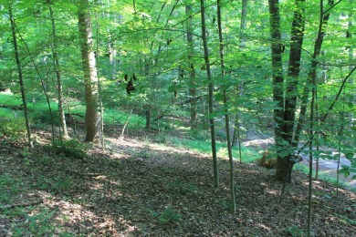 Here is your opportunity to purchase a nice, wooded lot in the on Hide-A-Way Hills Golf Club in Ohio - for sale on GolfHomes.com, golf home, golf lot