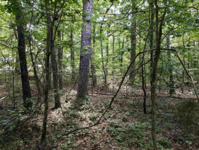 Nice gentle upslope lot overlooking #14 on Coronado Golf Course on Coronado Golf Course in Arkansas - for sale on GolfHomes.com, golf home, golf lot