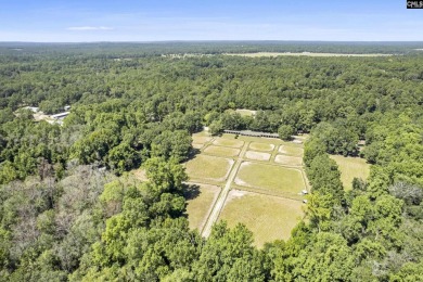 Unique opportunity to own a cherished part of Camden's on Camden Country Club in South Carolina - for sale on GolfHomes.com, golf home, golf lot