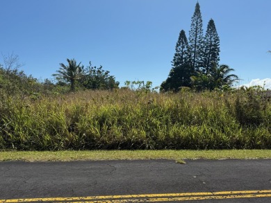 Much of the groundwork has already been done and this lot is on Discovery Harbour Golf Course in Hawaii - for sale on GolfHomes.com, golf home, golf lot