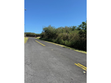 Much of the groundwork has already been done and this lot is on Discovery Harbour Golf Course in Hawaii - for sale on GolfHomes.com, golf home, golf lot