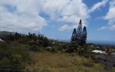 Much of the groundwork has already been done and this lot is on Discovery Harbour Golf Course in Hawaii - for sale on GolfHomes.com, golf home, golf lot
