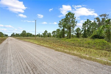 Invest in a growing location! This Residential lot is just on Mirror Lakes Golf Club in Florida - for sale on GolfHomes.com, golf home, golf lot