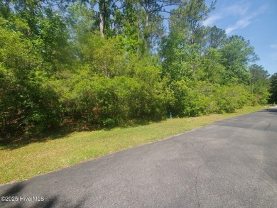 You will not find another lot like this in Hampstead! Almost 8 on Olde Point Golf and Country Club in North Carolina - for sale on GolfHomes.com, golf home, golf lot