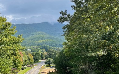 BEAUTIFULLY WOODED LOT WITH BIG MOUNTAIN VIEWS IN THE NORTH on Brasstown Valley Resort and Spa in Georgia - for sale on GolfHomes.com, golf home, golf lot