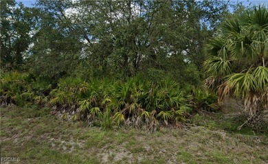 Attention builders, investors or those wanting MORE LAND! Two on River Hall Country Club in Florida - for sale on GolfHomes.com, golf home, golf lot