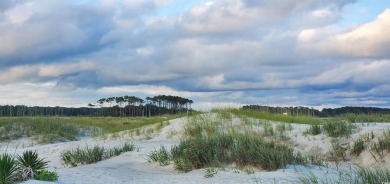 Welcome to your little corner of the world!  This property is a on Tidewater Golf Club and Plantation in South Carolina - for sale on GolfHomes.com, golf home, golf lot