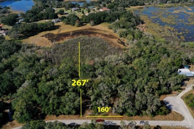 This area is developing nicely, take a look at our virtual tour on Inverness Golf and Country Club in Florida - for sale on GolfHomes.com, golf home, golf lot