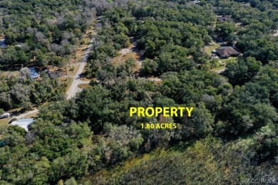 This area is developing nicely, take a look at our virtual tour on Inverness Golf and Country Club in Florida - for sale on GolfHomes.com, golf home, golf lot