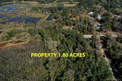 This area is developing nicely, take a look at our virtual tour on Inverness Golf and Country Club in Florida - for sale on GolfHomes.com, golf home, golf lot