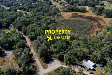 This area is developing nicely, take a look at our virtual tour on Inverness Golf and Country Club in Florida - for sale on GolfHomes.com, golf home, golf lot