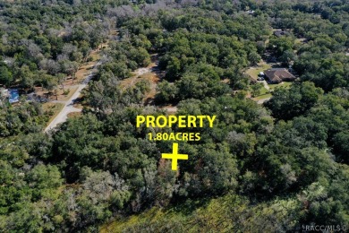 This area is developing nicely, take a look at our virtual tour on Inverness Golf and Country Club in Florida - for sale on GolfHomes.com, golf home, golf lot