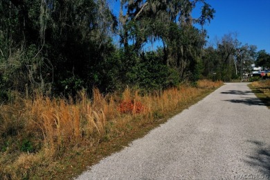 This area is developing nicely, take a look at our virtual tour on Inverness Golf and Country Club in Florida - for sale on GolfHomes.com, golf home, golf lot