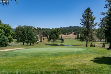 Stunning home nestled on a beautifully landscaped almost on Roseburg Country Club in Oregon - for sale on GolfHomes.com, golf home, golf lot