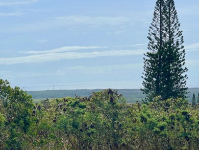 Premier Buildable Lot in Discovery Harbour 180 degrees Ocean on Discovery Harbour Golf Course in Hawaii - for sale on GolfHomes.com, golf home, golf lot