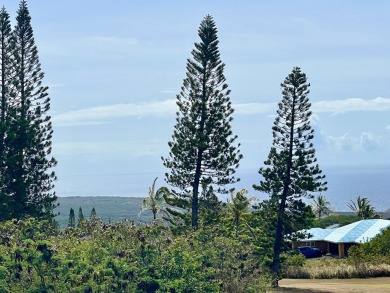 Premier Buildable Lot in Discovery Harbour 180 degrees Ocean on Discovery Harbour Golf Course in Hawaii - for sale on GolfHomes.com, golf home, golf lot
