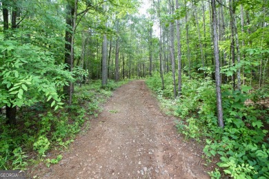 This exceptional property offers a rare opportunity to own a on The Club River Forest in Georgia - for sale on GolfHomes.com, golf home, golf lot