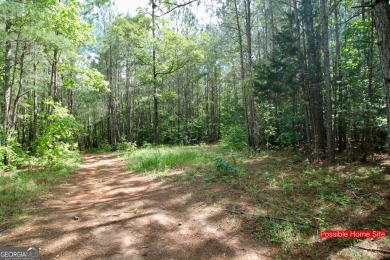 This exceptional property offers a rare opportunity to own a on The Club River Forest in Georgia - for sale on GolfHomes.com, golf home, golf lot