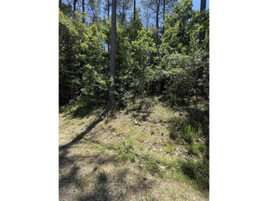 Come build your Dream Home on this Beautiful Buildable lot on Isabella Golf Course  in Arkansas - for sale on GolfHomes.com, golf home, golf lot