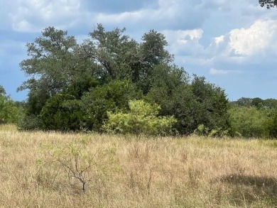 THIS IS A VERY NICE LEVEL LOT CLOSE TO THE BLUFFS. INCLUDES on White Bluff Resort - Old Course in Texas - for sale on GolfHomes.com, golf home, golf lot