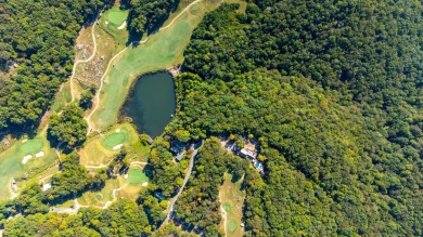 Seize the opportunity to own a prime 1-acre lot along Rushing on McLemore Golf Club in Georgia - for sale on GolfHomes.com, golf home, golf lot