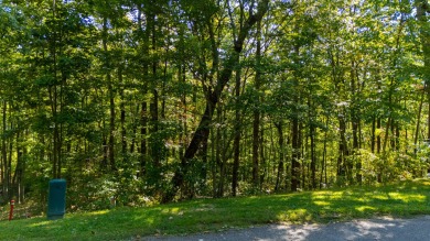 Seize the opportunity to own a prime 1-acre lot along Rushing on McLemore Golf Club in Georgia - for sale on GolfHomes.com, golf home, golf lot