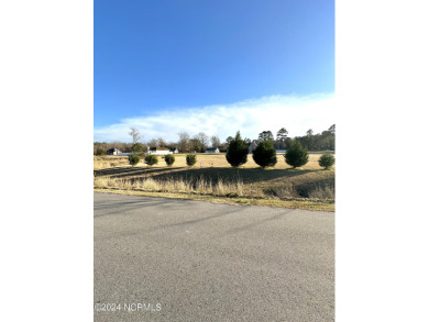 This open lot is ready for your next house. Located outside of on Chowan Golf and Country Club in North Carolina - for sale on GolfHomes.com, golf home, golf lot