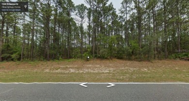 Build your dream home in the growing community of Citrus on Citrus Springs Country Club in Florida - for sale on GolfHomes.com, golf home, golf lot