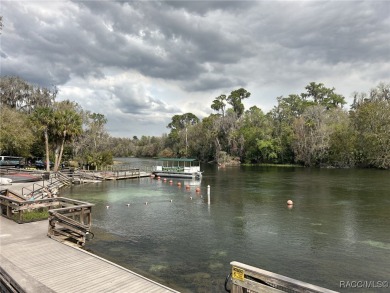 This beautifully remodeled home in Rainbow Springs Country Club on Rainbow Springs Golf and Country Club in Florida - for sale on GolfHomes.com, golf home, golf lot