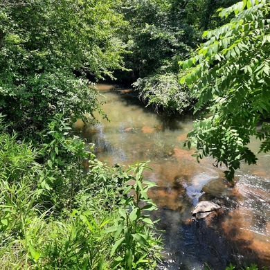 Build-Ready Estate Lot in Buckhorn - Nearly 1 Acre with Driveway on White Path Golf Club in Georgia - for sale on GolfHomes.com, golf home, golf lot