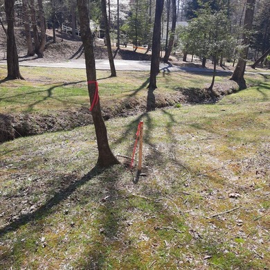 Build-Ready Estate Lot in Buckhorn - Nearly 1 Acre with Driveway on White Path Golf Club in Georgia - for sale on GolfHomes.com, golf home, golf lot