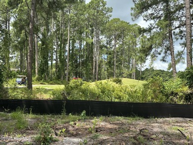 Build Your Dream Home in the Waterfront Boating Community of on Harbour Point Golf Club in North Carolina - for sale on GolfHomes.com, golf home, golf lot