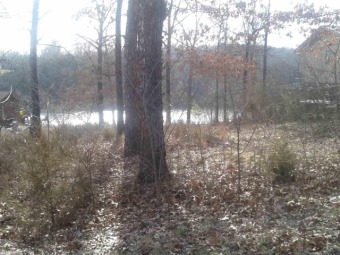 LAKE THUNDERBIRD LOT! Over 60 ft lake frontage. Perfect location on Cherokee Village North Course in Arkansas - for sale on GolfHomes.com, golf home, golf lot