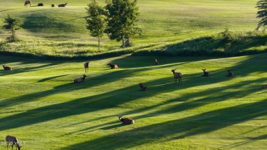 Pure elegance within the Ranch gate, boasting 3.01 acres backing on Club At Cordillera Mountain Course in Colorado - for sale on GolfHomes.com, golf home, golf lot