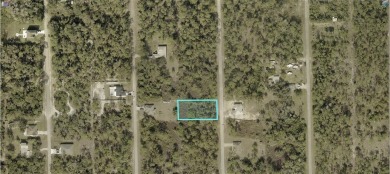 Welcome to 1709 Lake Ave in Lehigh Acres, Florida--a generous 0 on Lehigh Resort Club in Florida - for sale on GolfHomes.com, golf home, golf lot
