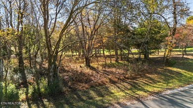 Ready to build your dream home and looking for the perfect lot?? on Tellico Village -The Links At Kahite Golf Course in Tennessee - for sale on GolfHomes.com, golf home, golf lot