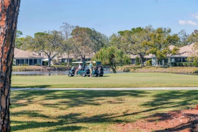 Discover the perfect blend of comfort, convenience, and on The Meadows Golf and Country Club in Florida - for sale on GolfHomes.com, golf home, golf lot