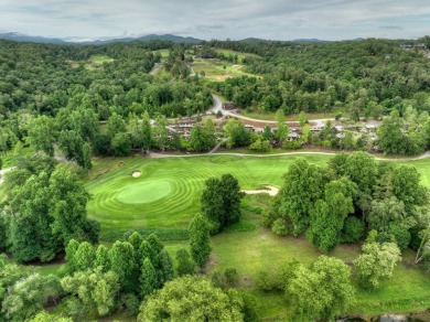 Blending rustic charm and modern conveniences, perched on the on Old Toccoa Farm Golf Club in Georgia - for sale on GolfHomes.com, golf home, golf lot