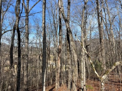 This beautifully wooded .72 acre lot is located in the gated on Chatuge Shores Golf Course in North Carolina - for sale on GolfHomes.com, golf home, golf lot