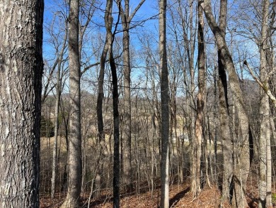 This beautifully wooded .72 acre lot is located in the gated on Chatuge Shores Golf Course in North Carolina - for sale on GolfHomes.com, golf home, golf lot