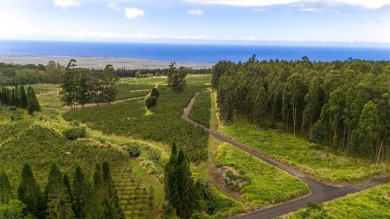Welcome to Cloud Rest-a serene escape tucked within the lush and on Sea Mountain Golf Course in Hawaii - for sale on GolfHomes.com, golf home, golf lot