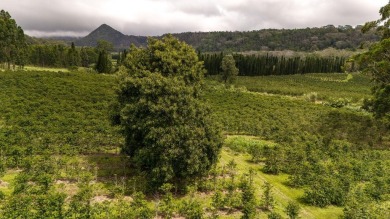 Welcome to Cloud Rest-a serene escape tucked within the lush and on Sea Mountain Golf Course in Hawaii - for sale on GolfHomes.com, golf home, golf lot