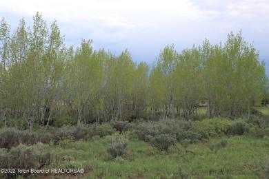 Great golf course lot with trees and flat. The lot is on #8 on Cedar Creek Golf Course in Wyoming - for sale on GolfHomes.com, golf home, golf lot