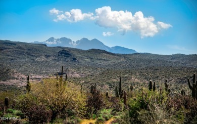 Calling all investors and buyers  looking for a bargain in the on Rio Verde Country Club - Quail Run in Arizona - for sale on GolfHomes.com, golf home, golf lot