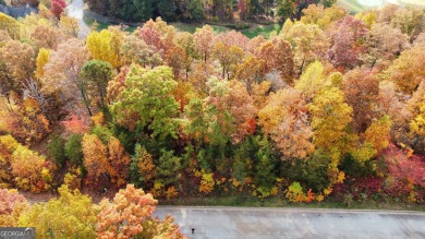 1.35 Acre Panoramic View Lot - Waterfall at Lake Burton on Waterfall Country Club in Georgia - for sale on GolfHomes.com, golf home, golf lot